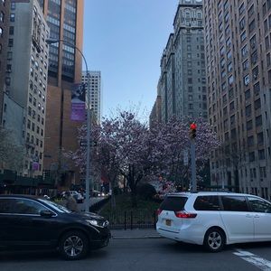 Meet your Posher, Bogdan